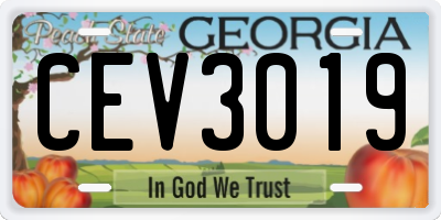 GA license plate CEV3019