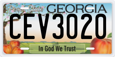GA license plate CEV3020