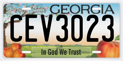 GA license plate CEV3023