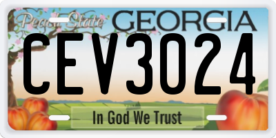 GA license plate CEV3024