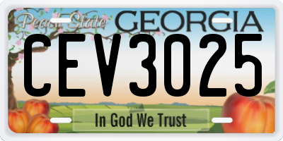 GA license plate CEV3025