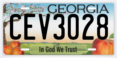 GA license plate CEV3028