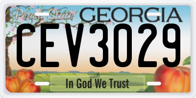 GA license plate CEV3029