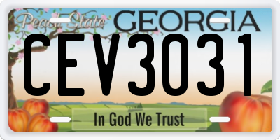 GA license plate CEV3031