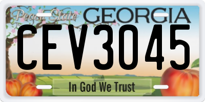 GA license plate CEV3045