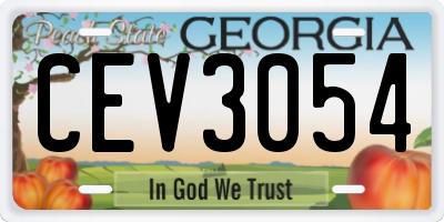 GA license plate CEV3054