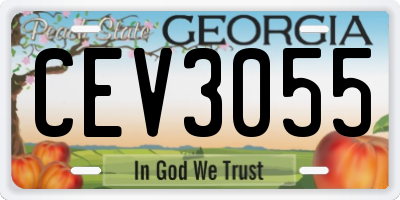 GA license plate CEV3055