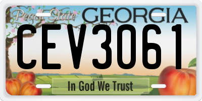 GA license plate CEV3061