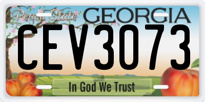 GA license plate CEV3073
