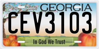 GA license plate CEV3103