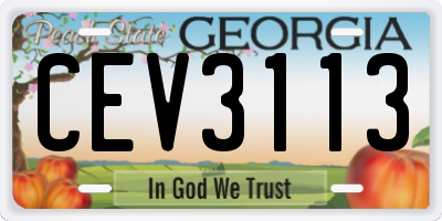 GA license plate CEV3113