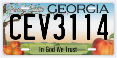 GA license plate CEV3114