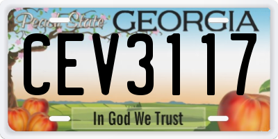 GA license plate CEV3117