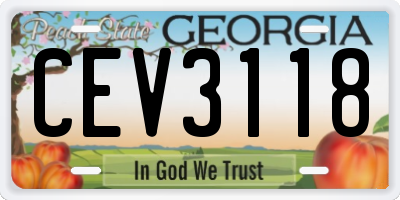 GA license plate CEV3118