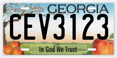 GA license plate CEV3123