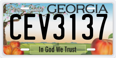 GA license plate CEV3137