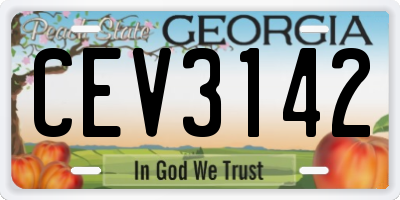 GA license plate CEV3142