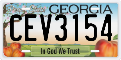 GA license plate CEV3154