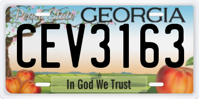 GA license plate CEV3163