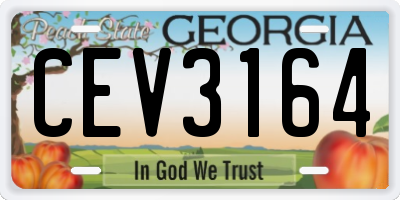 GA license plate CEV3164