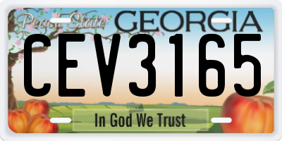 GA license plate CEV3165