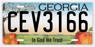 GA license plate CEV3166
