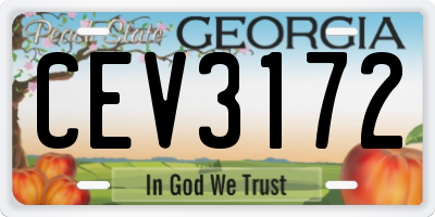 GA license plate CEV3172