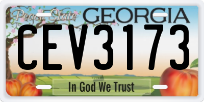 GA license plate CEV3173