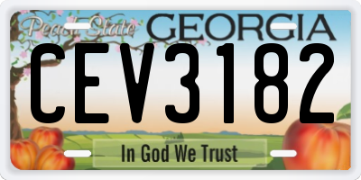 GA license plate CEV3182