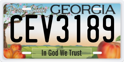 GA license plate CEV3189