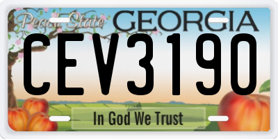 GA license plate CEV3190