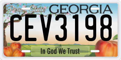 GA license plate CEV3198