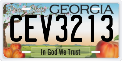 GA license plate CEV3213