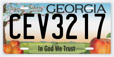 GA license plate CEV3217