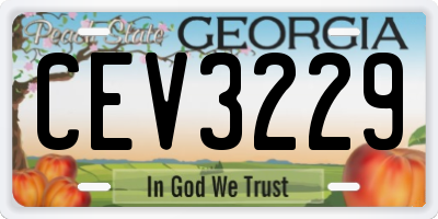 GA license plate CEV3229