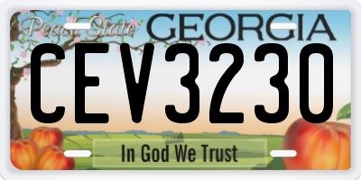 GA license plate CEV3230