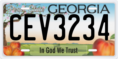 GA license plate CEV3234