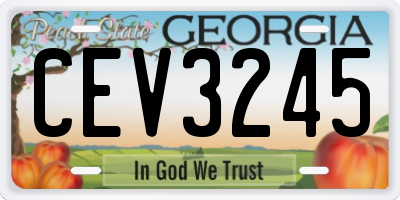 GA license plate CEV3245