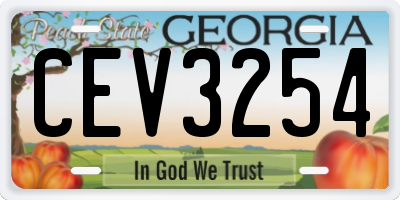 GA license plate CEV3254