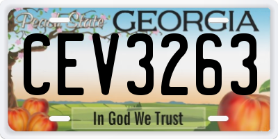GA license plate CEV3263