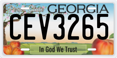 GA license plate CEV3265