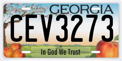 GA license plate CEV3273