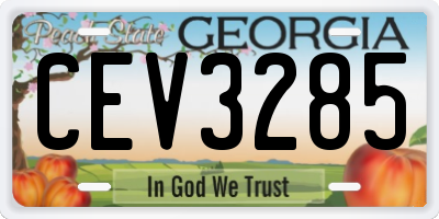 GA license plate CEV3285