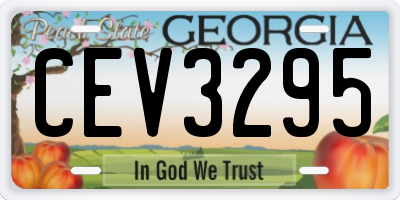 GA license plate CEV3295