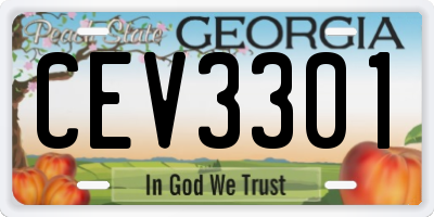 GA license plate CEV3301