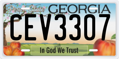 GA license plate CEV3307