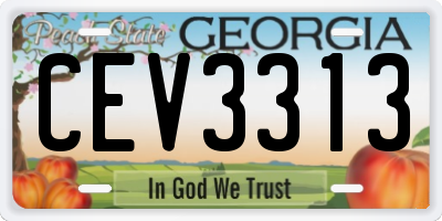 GA license plate CEV3313