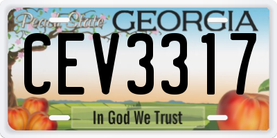 GA license plate CEV3317