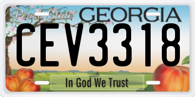 GA license plate CEV3318