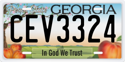 GA license plate CEV3324